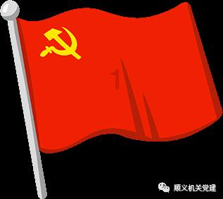 黑翅长脚鹬欢聚曲靖 赵万波/摄