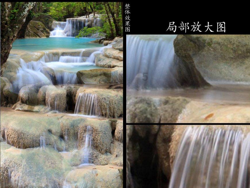 拯救昆虫群