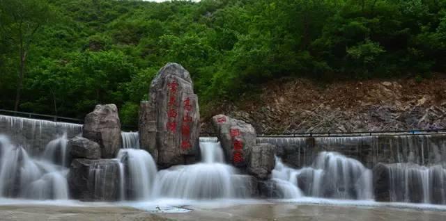 头发每天洗还是有很多头屑怎么办?洗发水排行榜前十名去屑控油